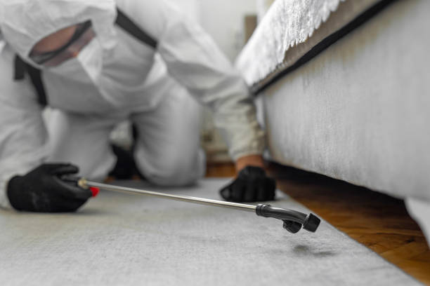 Professional Cockroach Control technician working in Fridley, MN